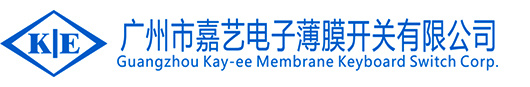 插鸡巴网站在线观看